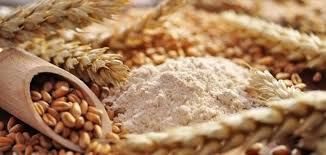 "الاقتصاد": مخزون الطحين يلبي احتياجات شعبنا